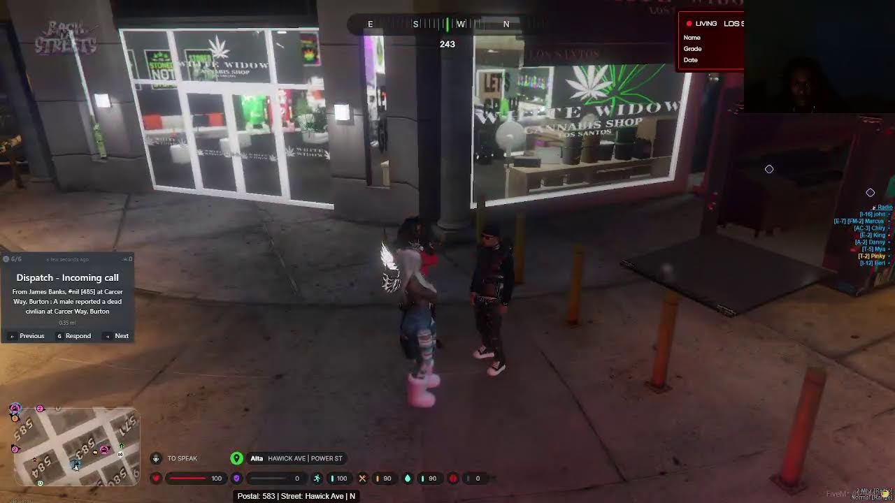 Backstreets LA RP