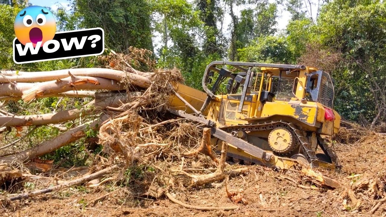 Excellent Dozer CAT D6R XL Clearing and Leveling Land For Housing Development Area