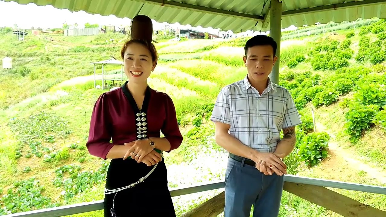 Giọng hát ngọt ngào của anh quân với em thoại pi nong tỏn phăng nơ 