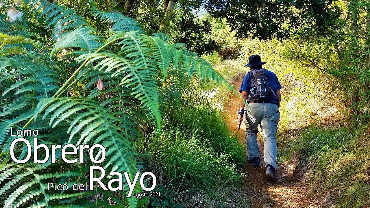 Lomo OBRERO y Pico del RAYO (agosto 2021) #GranCanaria #Osorio #Senderismo