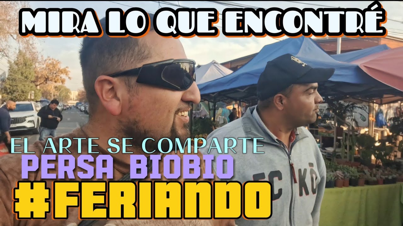 UN DIA NORMAL EN PERSA BIOBIO 🫠