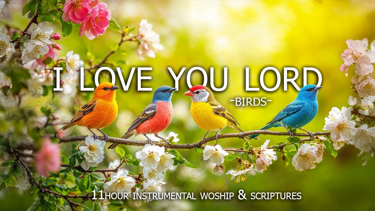 I LOVE YOU LORD : Soothing Worship Piano & Powerful Bible Verses Set Against a Beautiful Bird