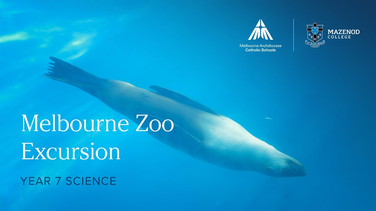 Fighting Extinction at Melbourne Zoo | Year 7 Science Excursion