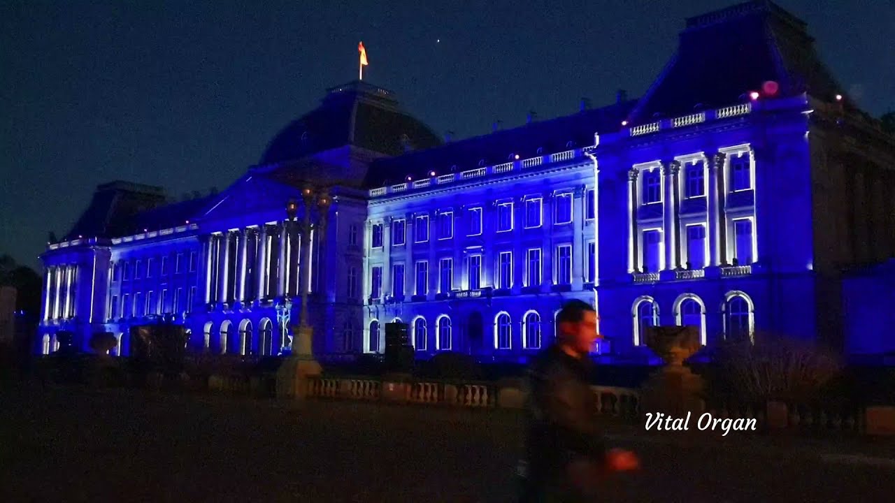 BRIGHT BRUSSELS 2021 CHIAROSCURO &ndash; DIRTY MONITOR ROYAL PALACE OF BELGIUM