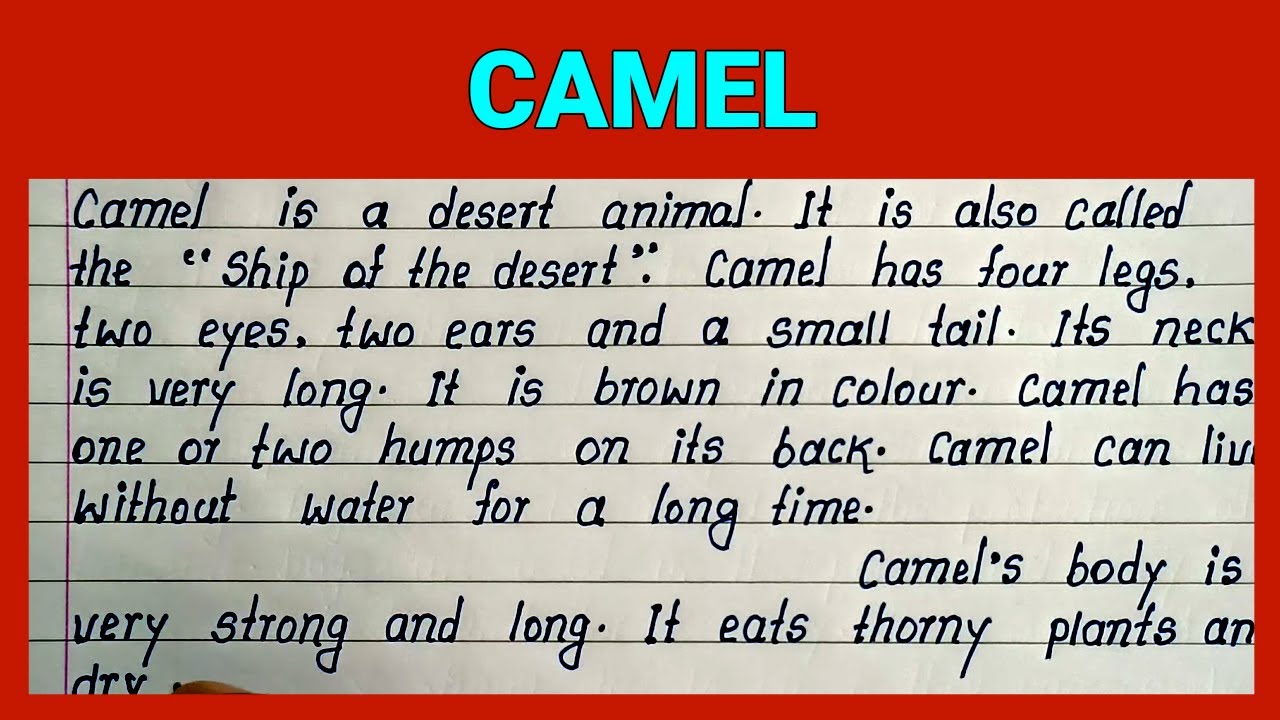 Simple Easy and Short English Essay on Camel | Write Best English Essay on Camel