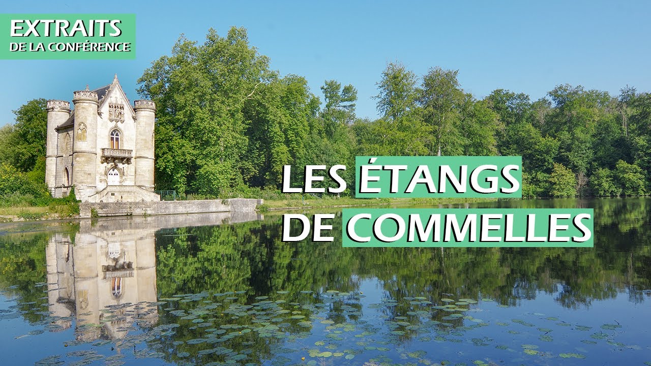 Des étangs de Commelles au prestige de la forêt de Chantilly - Extraits de conférence