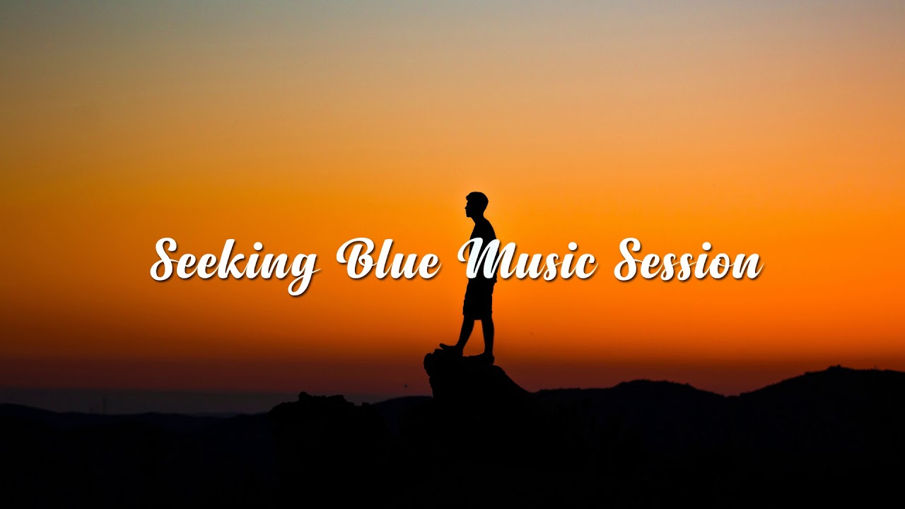 The Best of MrSuicideSheep | Seeking Blue Music Session