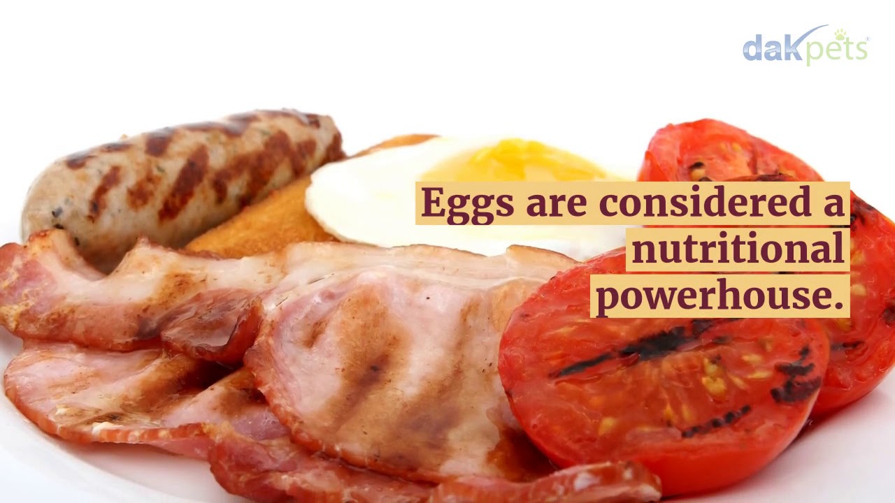 9 Healthy Foods For Dogs