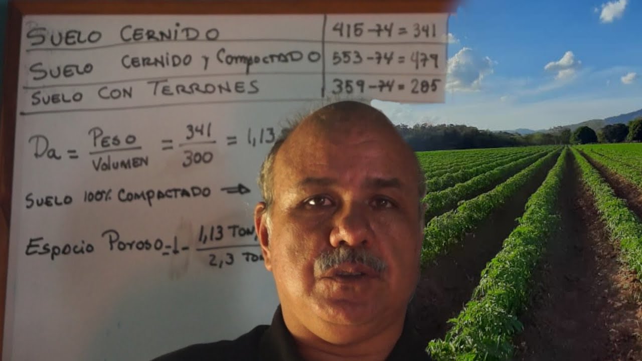 Cálculos de la porosidad y la densidad aparente