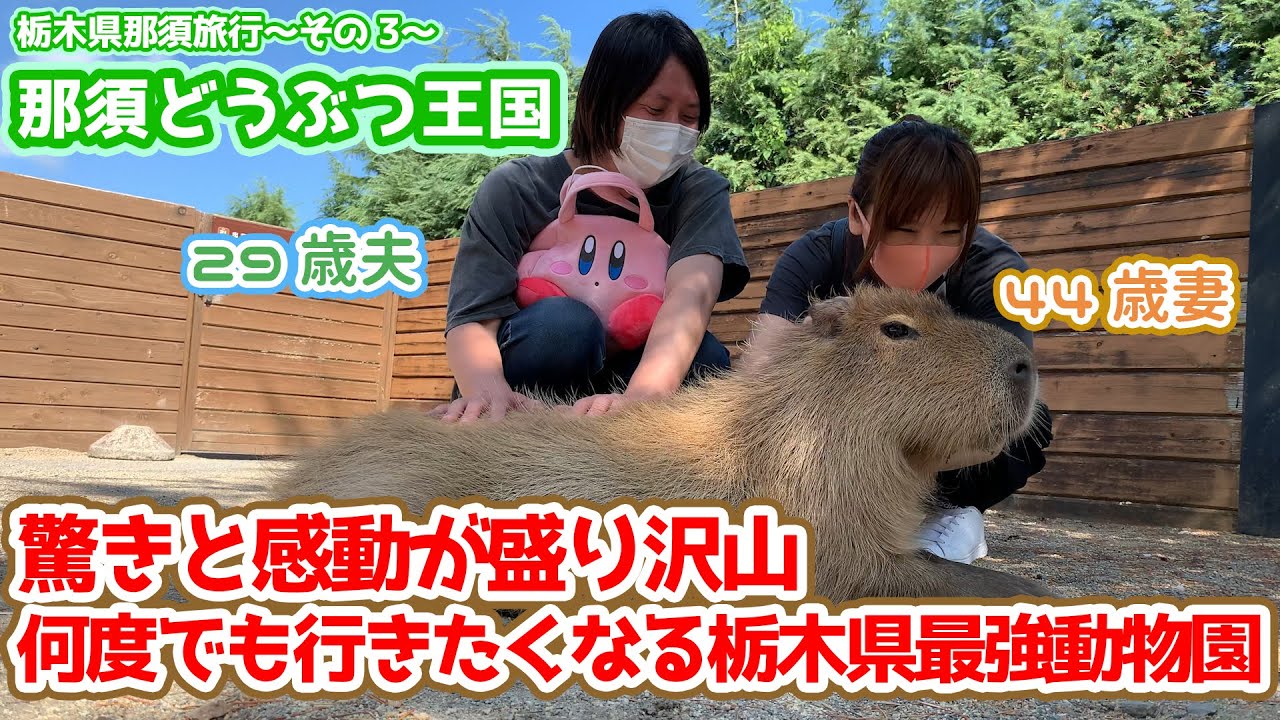 【那須どうぶつ王国】驚きと感動が盛り沢山。何度でも行きたくなる栃木県最強動物園【15歳差夫婦の那須旅行〜その３】