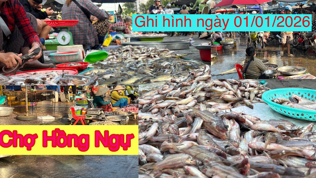 #Chợ Hồng Ngự # ghi hình ngày 01/01/2026