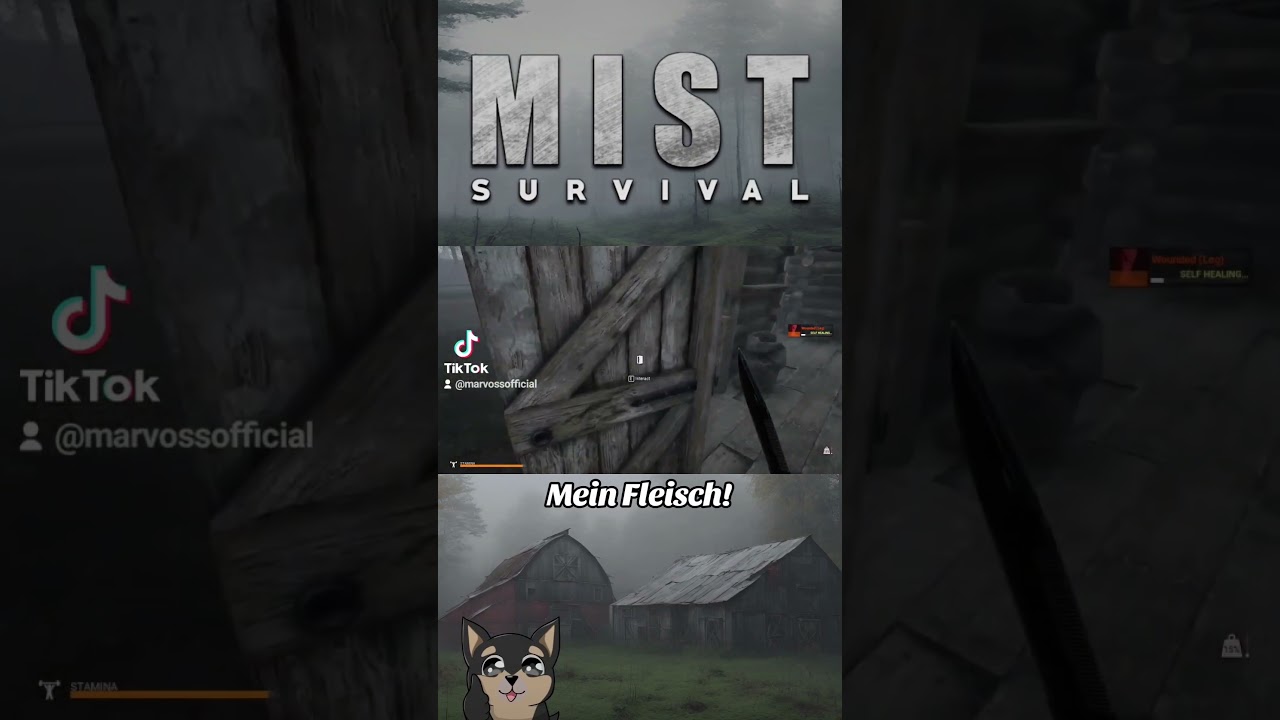 Das ist mein Fleisch! | Mist Survival | [youtubeshorts / Gameplay / Abenteuer] 🧟
