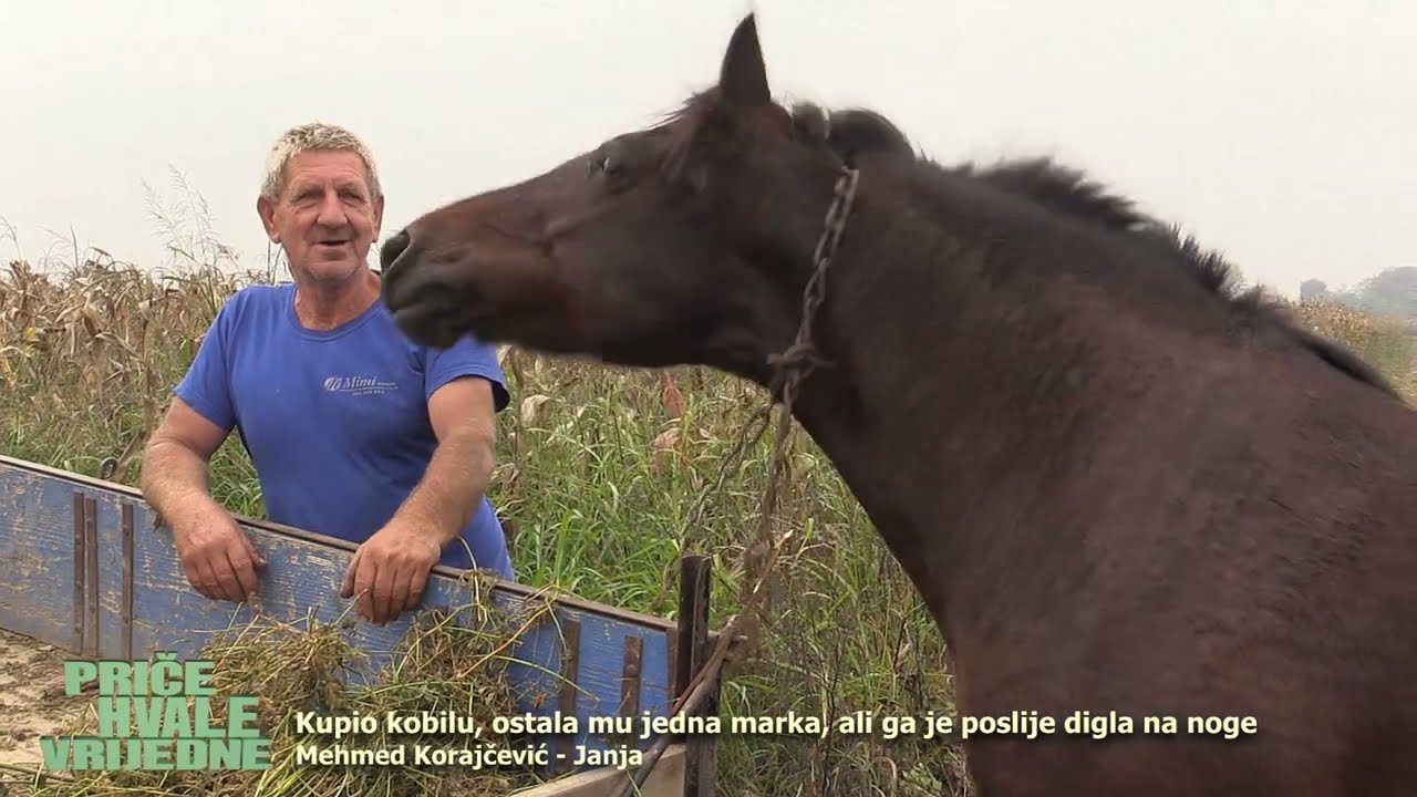 Kupio kobilu, ostala mu jedna marka, ali ga je poslije digla na noge