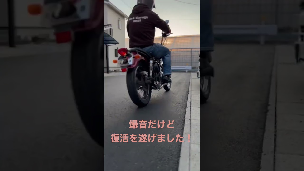 ヤフオクで買った不動のエストレヤ復活させてみた。250トレヤに改名しました！