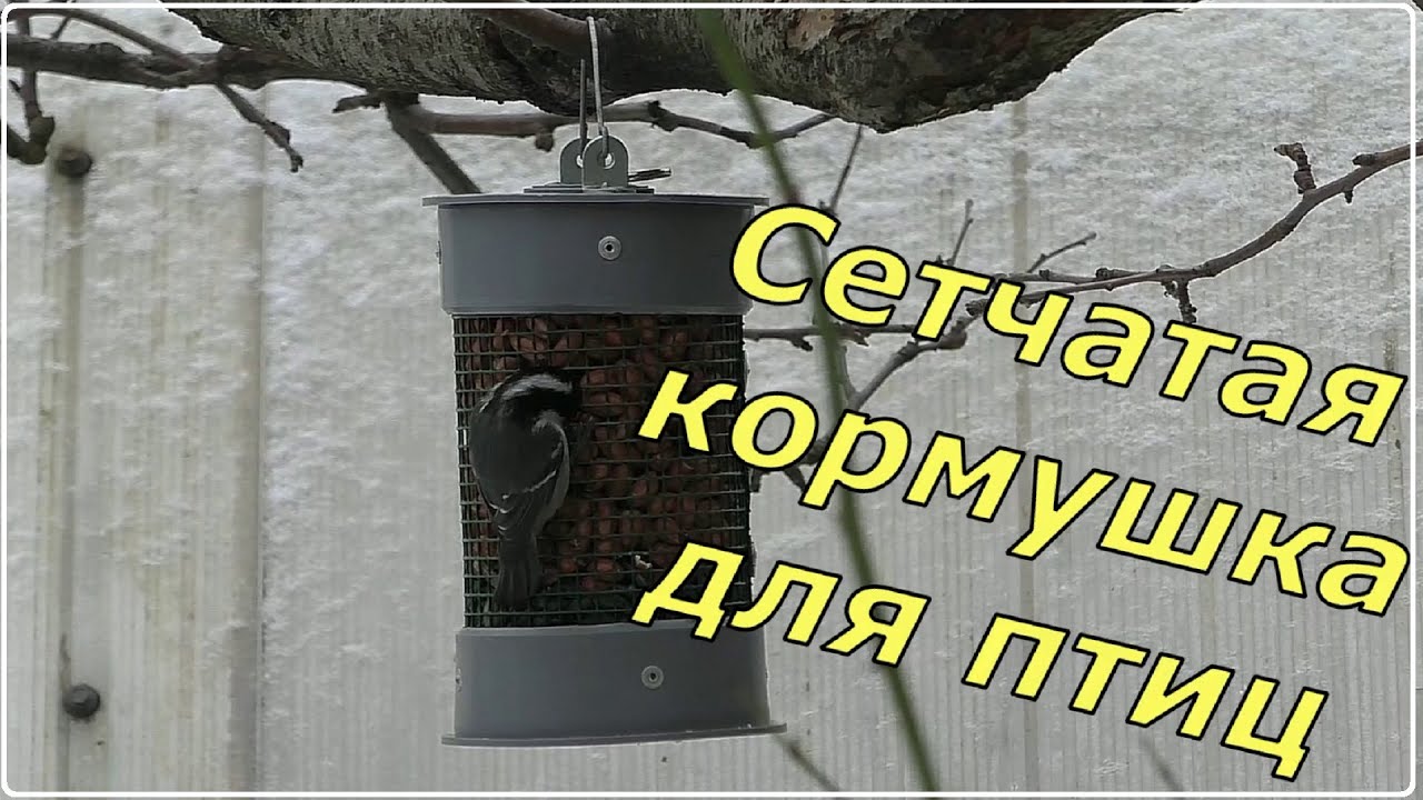 Сетчатая кормушка для птиц