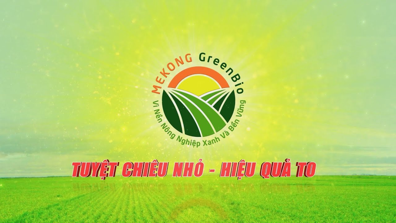 MKG VINITEX | TUYỆT CHIÊU NHỎ - HIỆU QUẢ TO | WinterMan Media