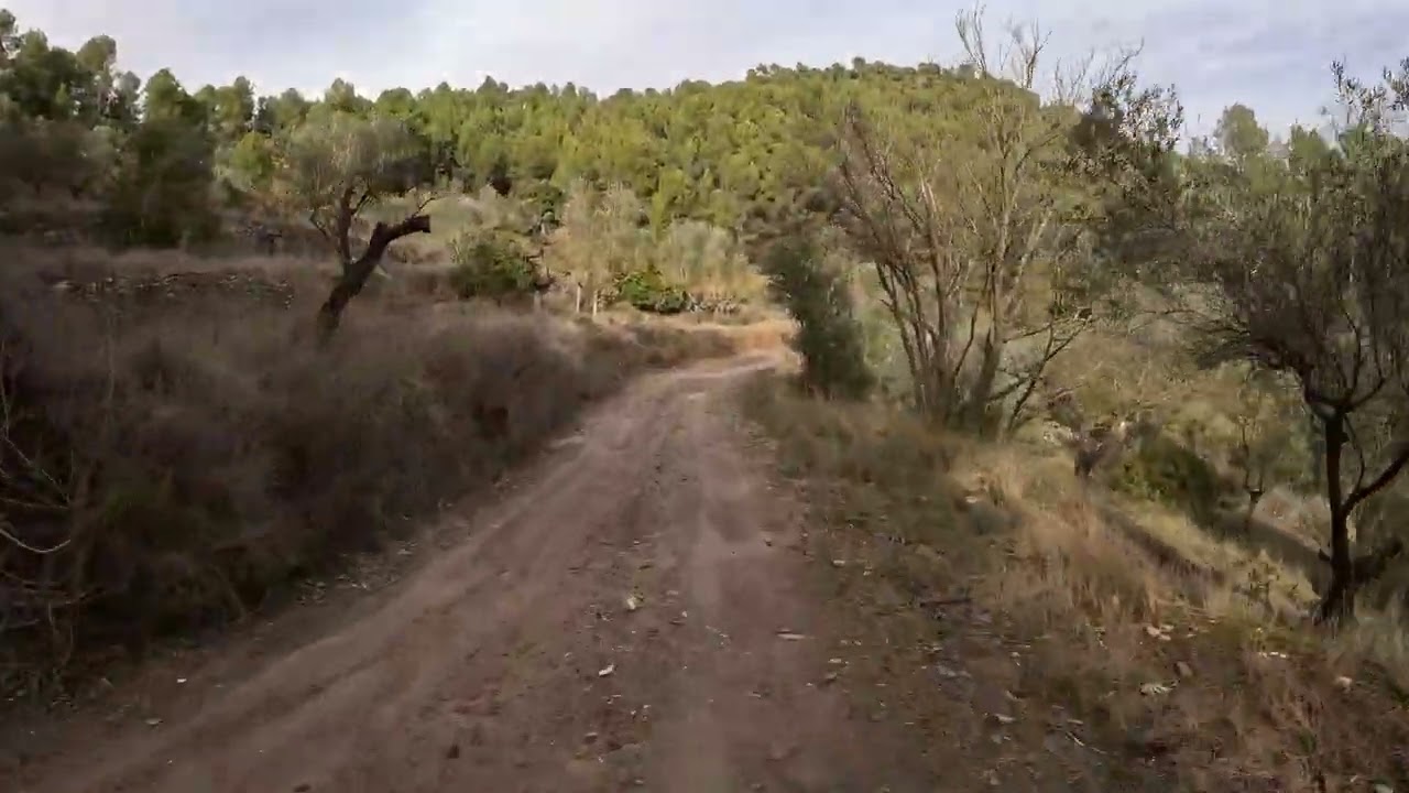 ·la llangotera· 2601