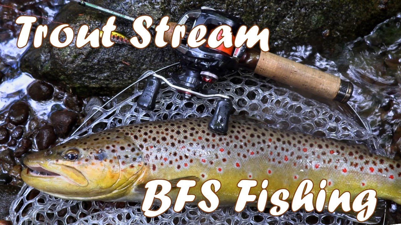 BFS Fishing, Trout Fishing With BFS Gear - VARIVAS Bush Trail