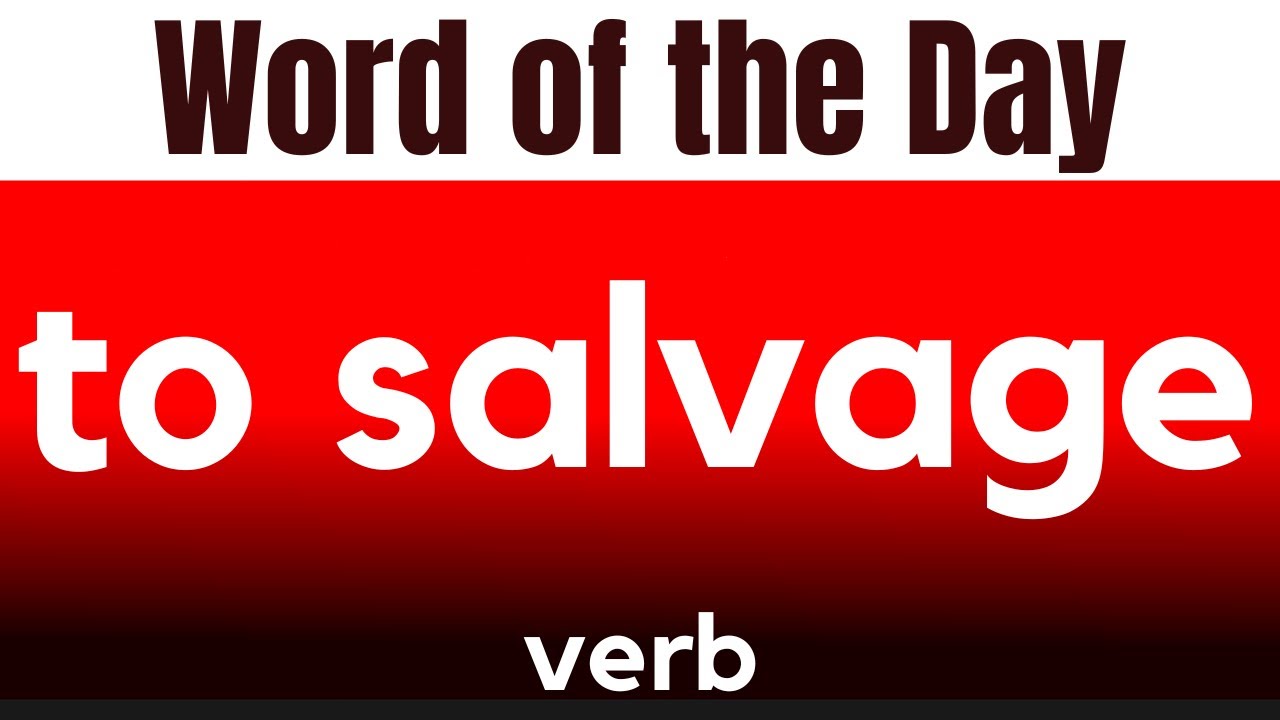 Word of the Day - TO SALVAGE. What does TO SALVAGE mean?