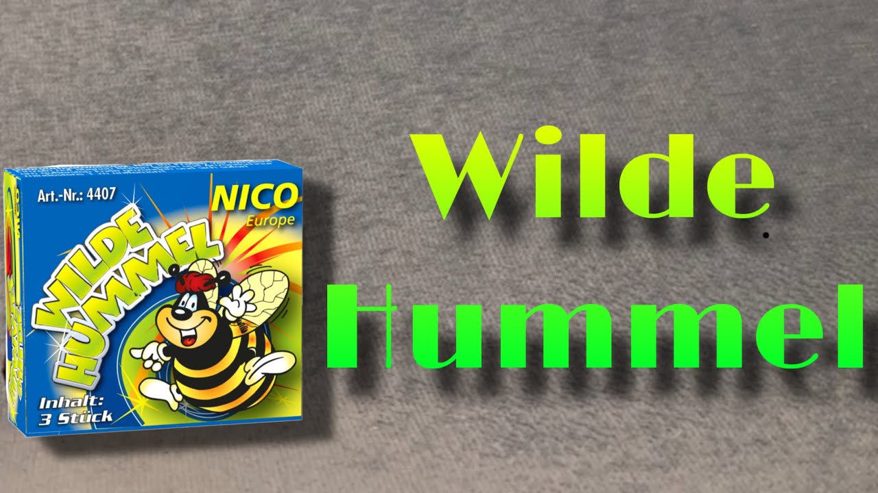 Wilde Hummel | Nico Feuerwerk