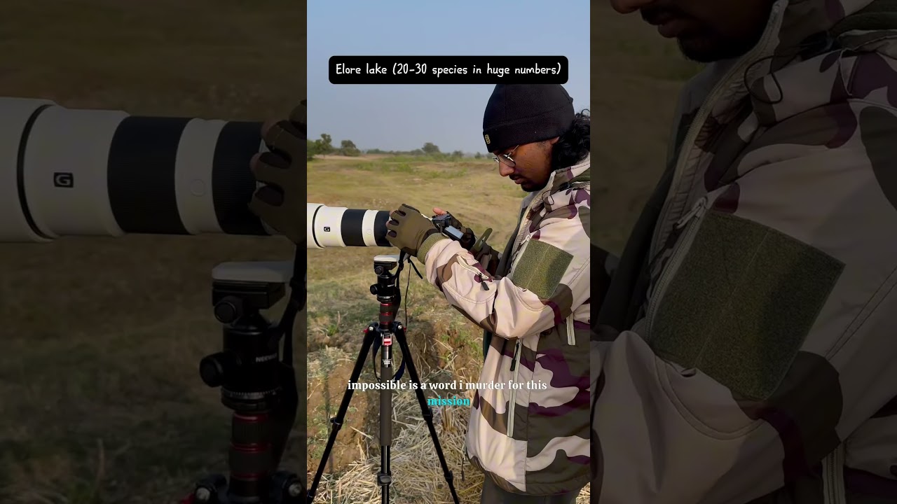 Birdwalk Bliss: Exploring Kagaznagar&rsquo;s Avian Paradise #BirdWalk #KagaznagarWildlife #rishi_mjgeekbot