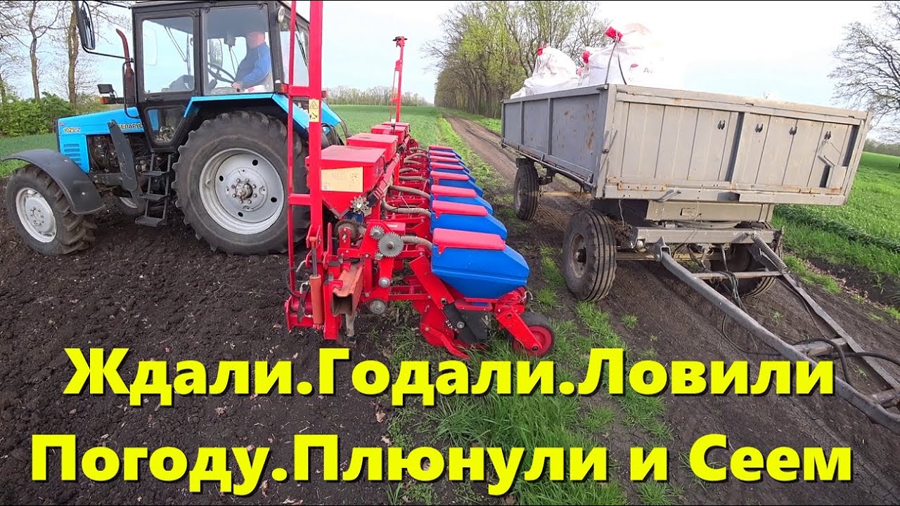 СЕВ Кукурузы /НАЧАЛО Посева Пропашных Культур 2023 / СЕВ Между Дождей