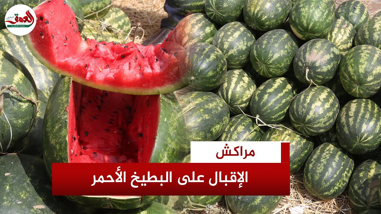 البطيخ الأحمر يغزو أسواق مراكش..تجار يؤكدون الوفرة ويشيدون بجودة دلاع زاكورة