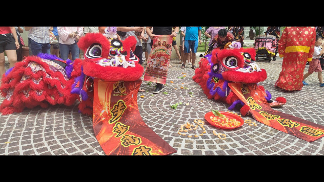 🧧🥁 ROARING into Chinese New Year! 🦁🐉| CNY Celebrations 2026 🦁🐉✨#tuluvlogchannel #culture #liondance