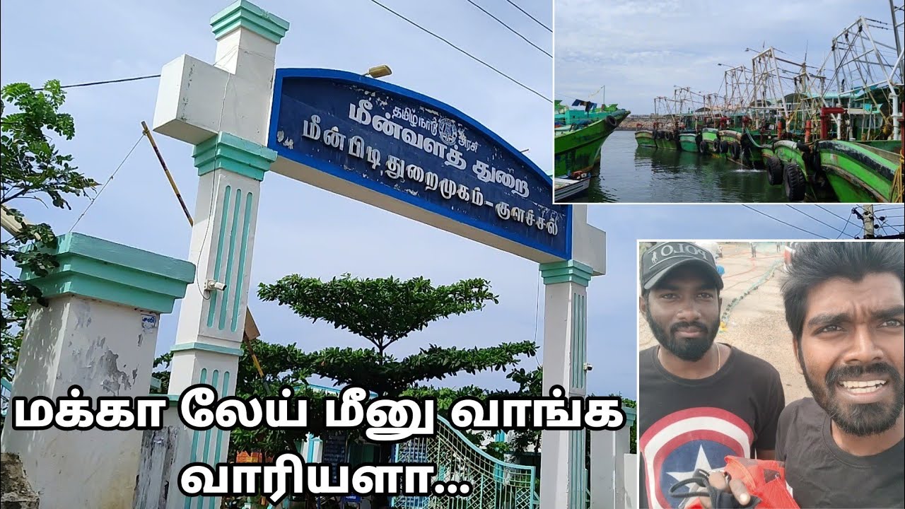 மக்கா லேய் மீனு வாங்க வாரியளா? Colachel Harbour | Kanyakumari Dist  | Colachel Harbour Fish Market