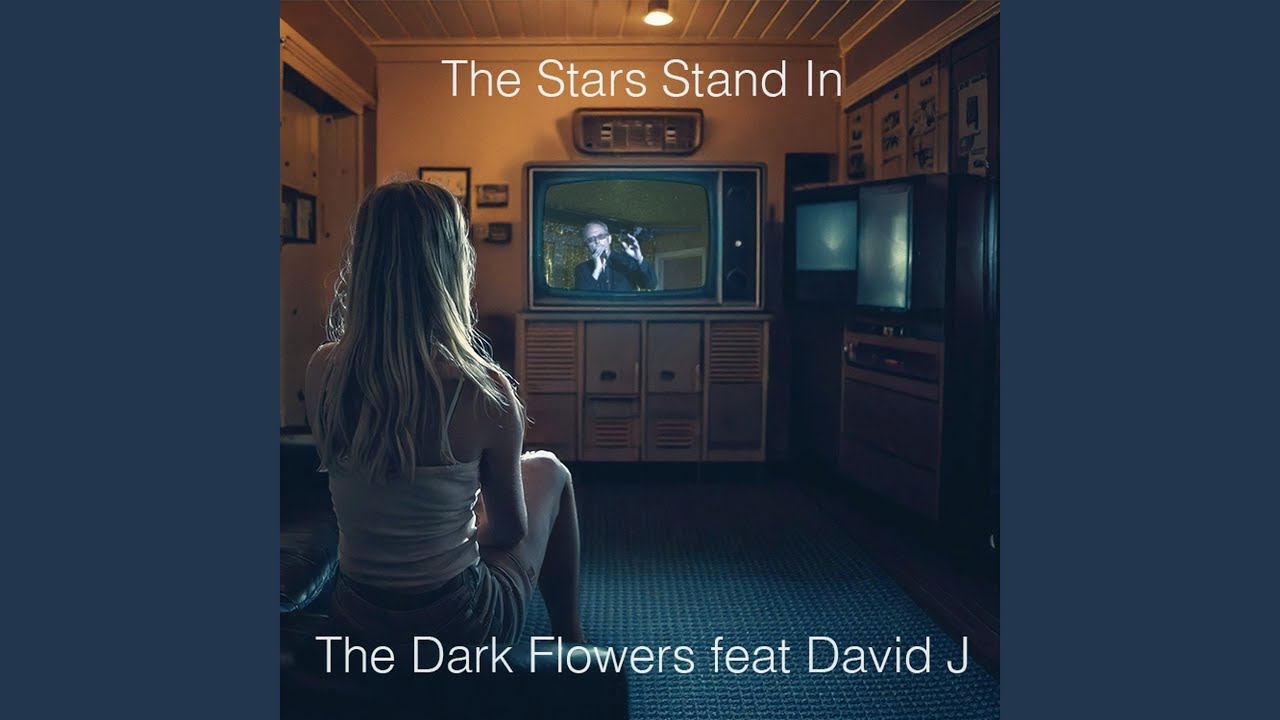 The Stars Stand In