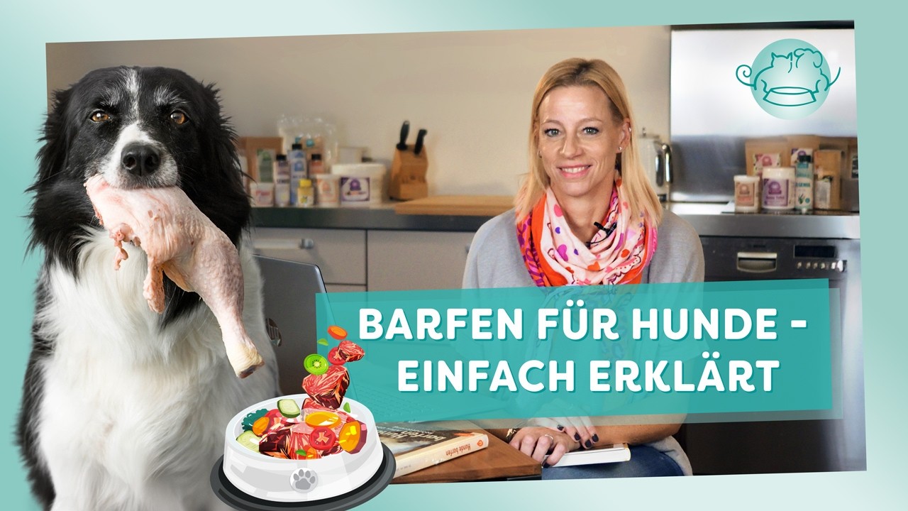 Dr. Julia Fritz erklärt Euch die Rohfütterung und den BARF Ansatz für Hunde