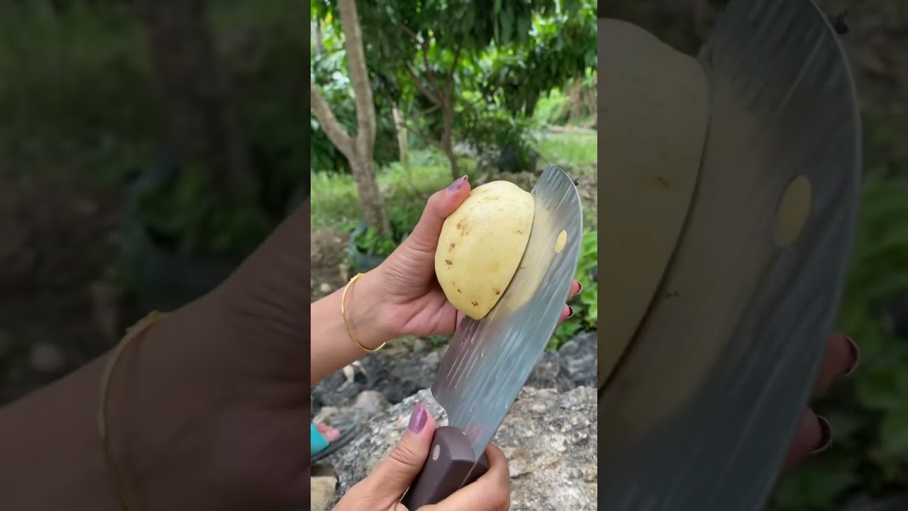 Unboking Jambu Getas Merah #jambugetasmerah