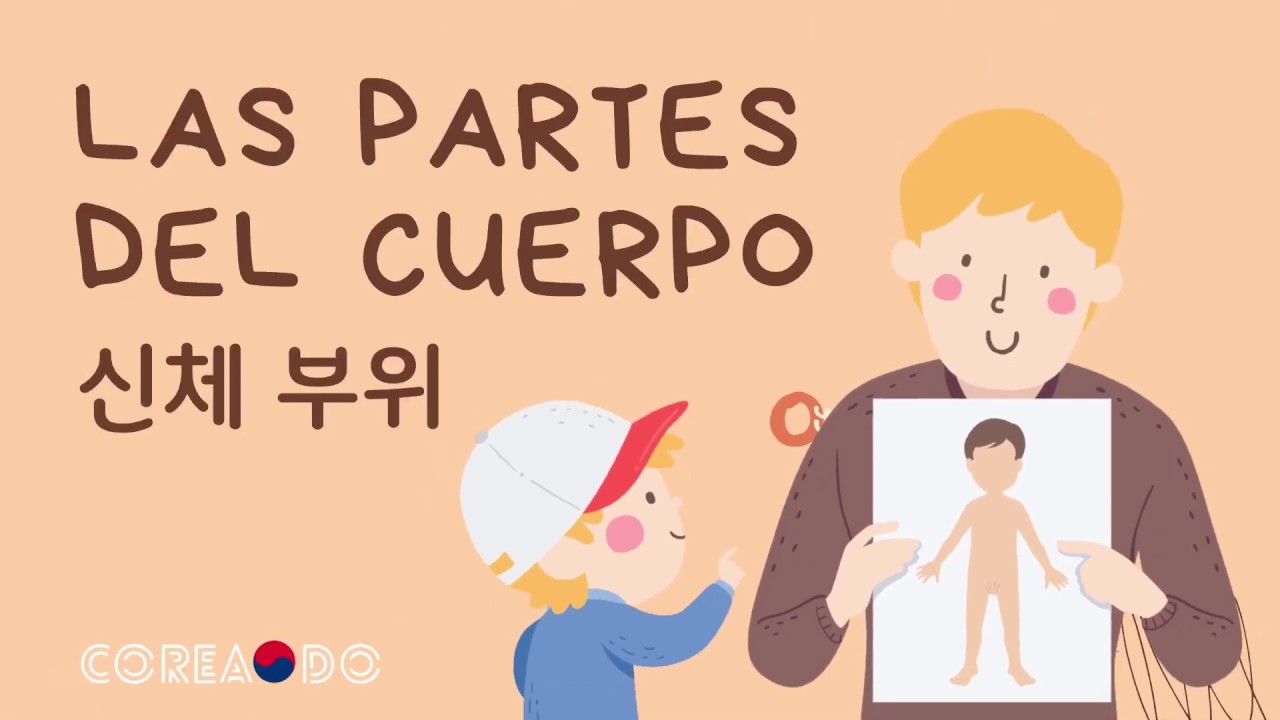 LAS PARTES DEL CUERPO EN COREANO  | APRENDE COREANO