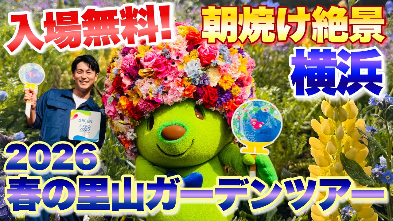 【入場無料】横浜最大級1万㎡の絶景大花壇｜朝焼けに染まる春の里山ガーデンツアー(育て方のコツも解説) 【ガーデンネックレス横浜】