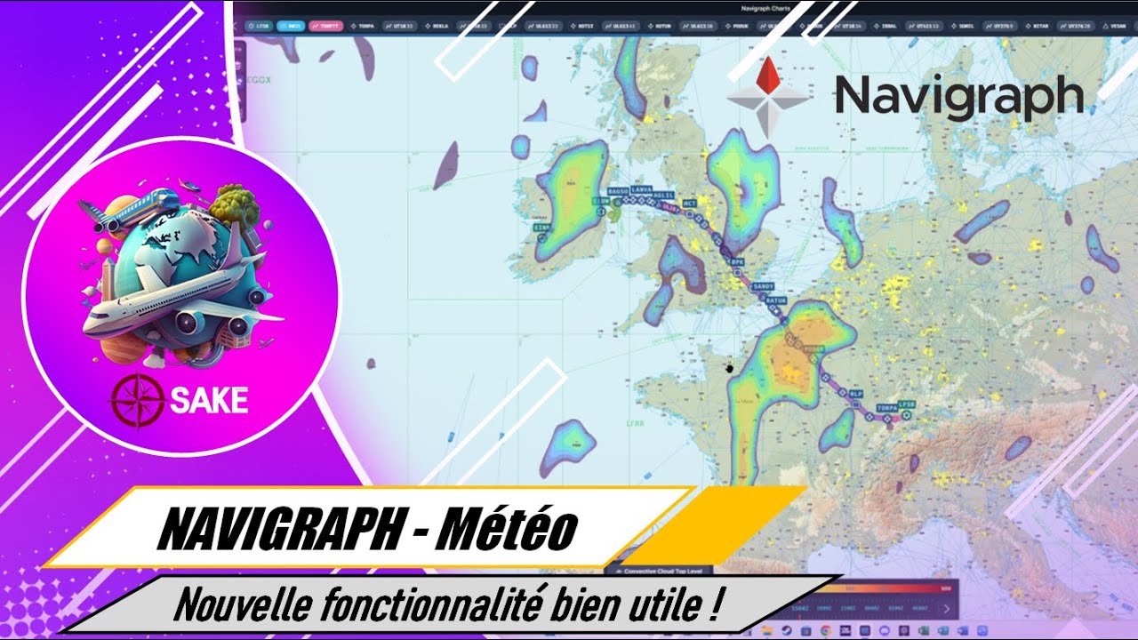 Navigraph charts 8 : Les affichages météo