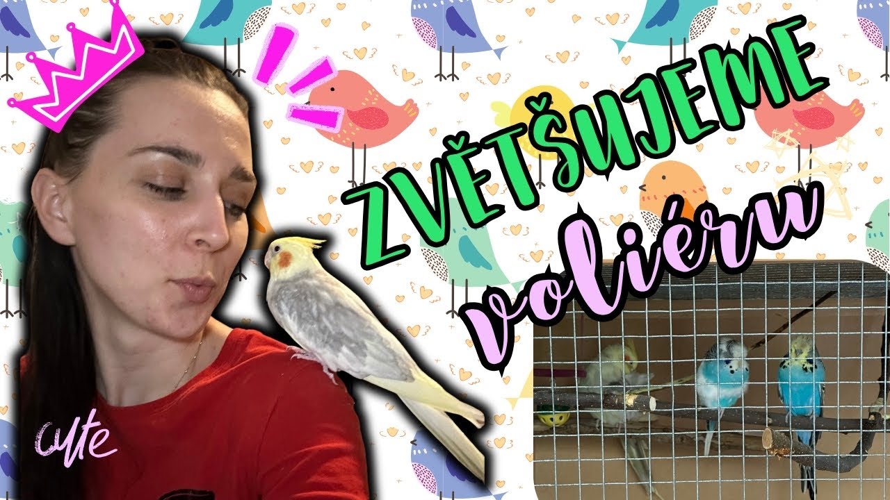 Voliéra pro papoušky 🦜