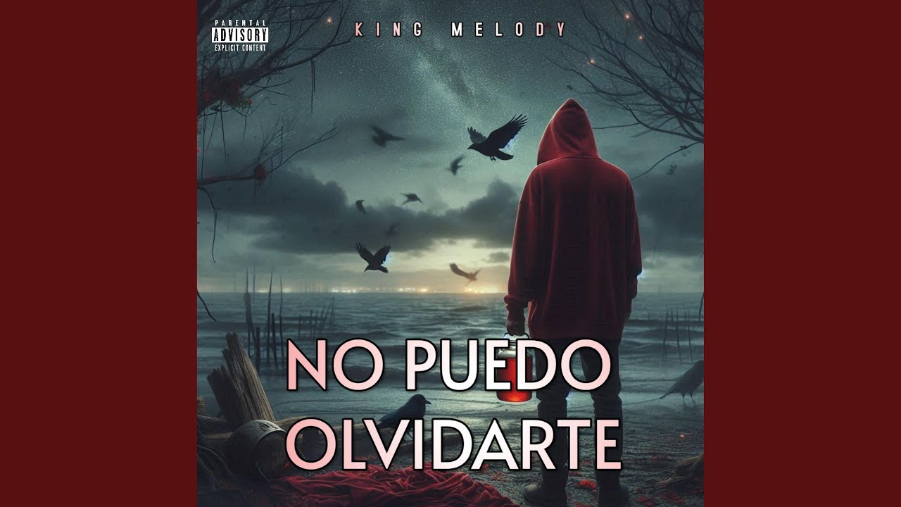 No Puedo Olvidarte