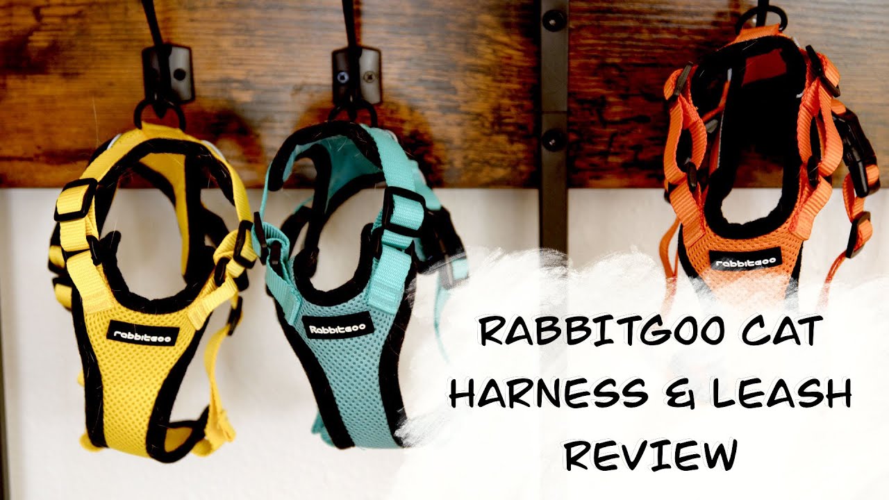 Rabbitgoo Cat Harness & Leash Review - BEST CAT HARNESS FOR 2022