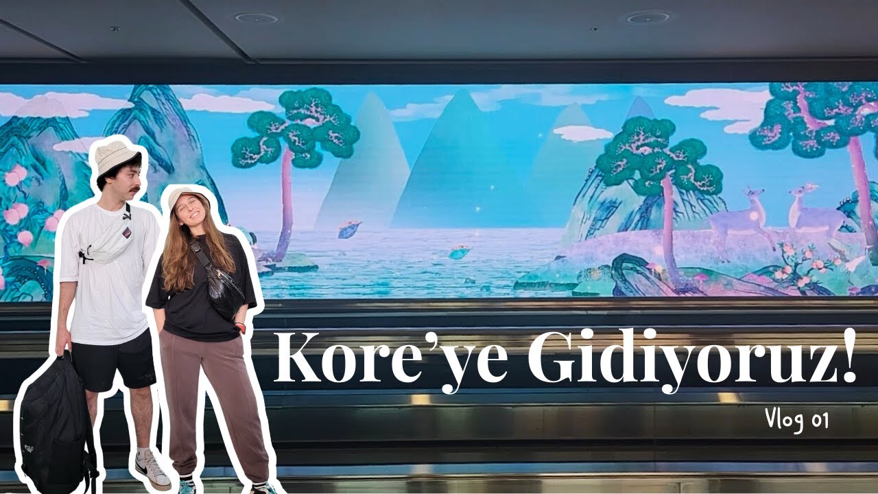 Koreye Gidiyoruz! Seulde İlk Gece & Kore Barbekü Deneyimi | Vlog 001