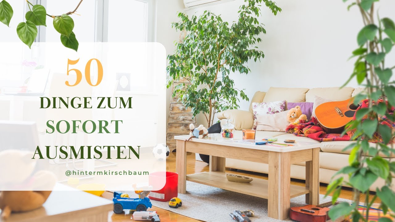 DIESE 50 DINGE kannst du sofort aussortieren 📦 mehr Ordnung ganz einfach | Declutter 🌿