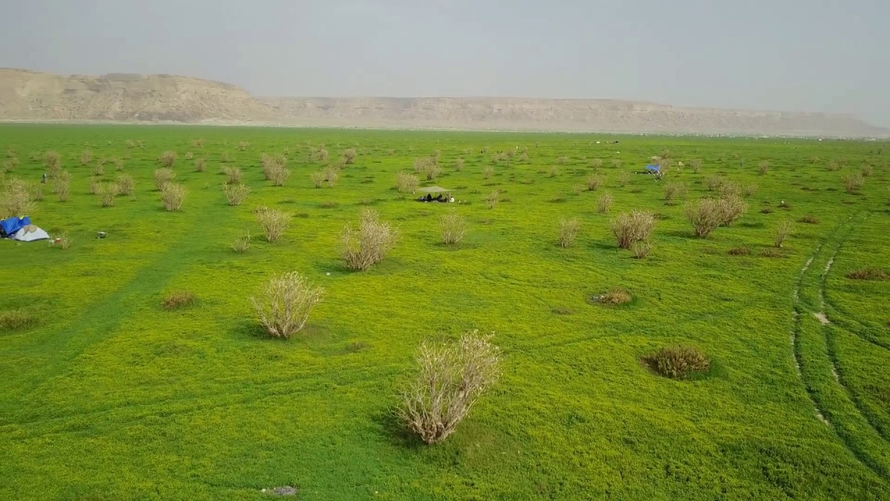 تصوير جوي روضة الخفس الشمالية 2017