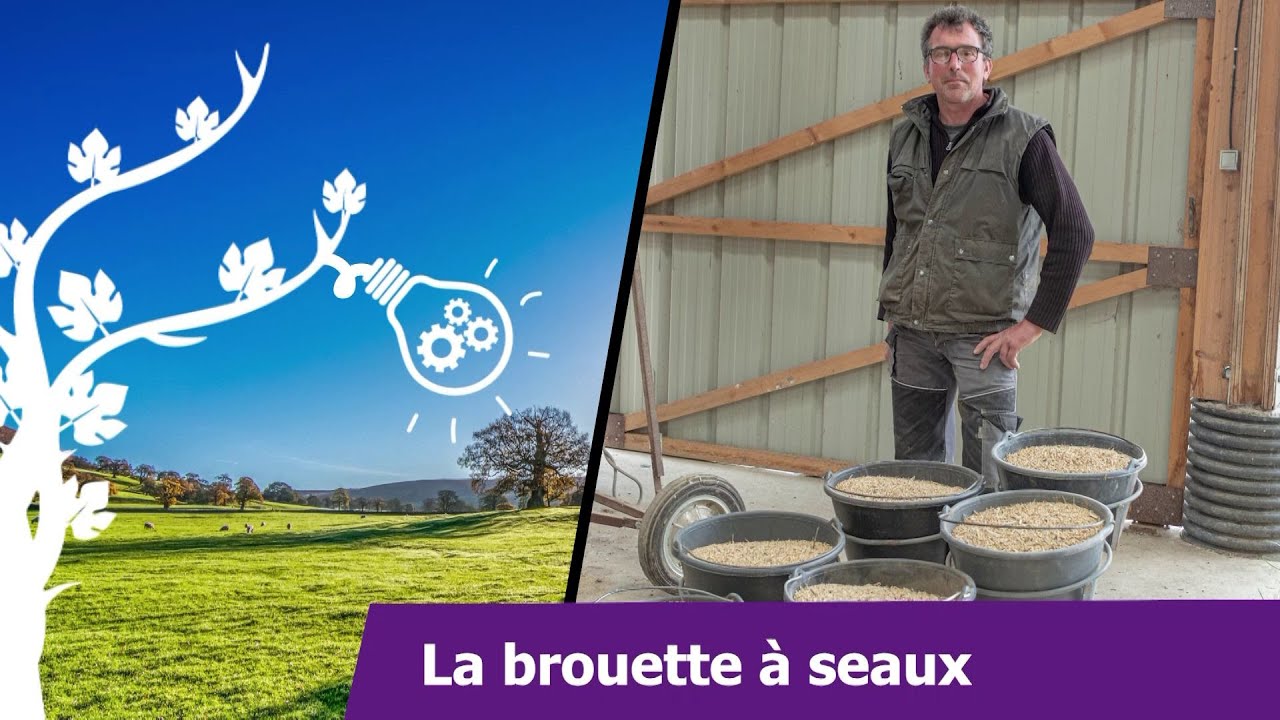 Trucs et astuces d’agriculteurs : Brouette a seaux | Nicolas PARIS