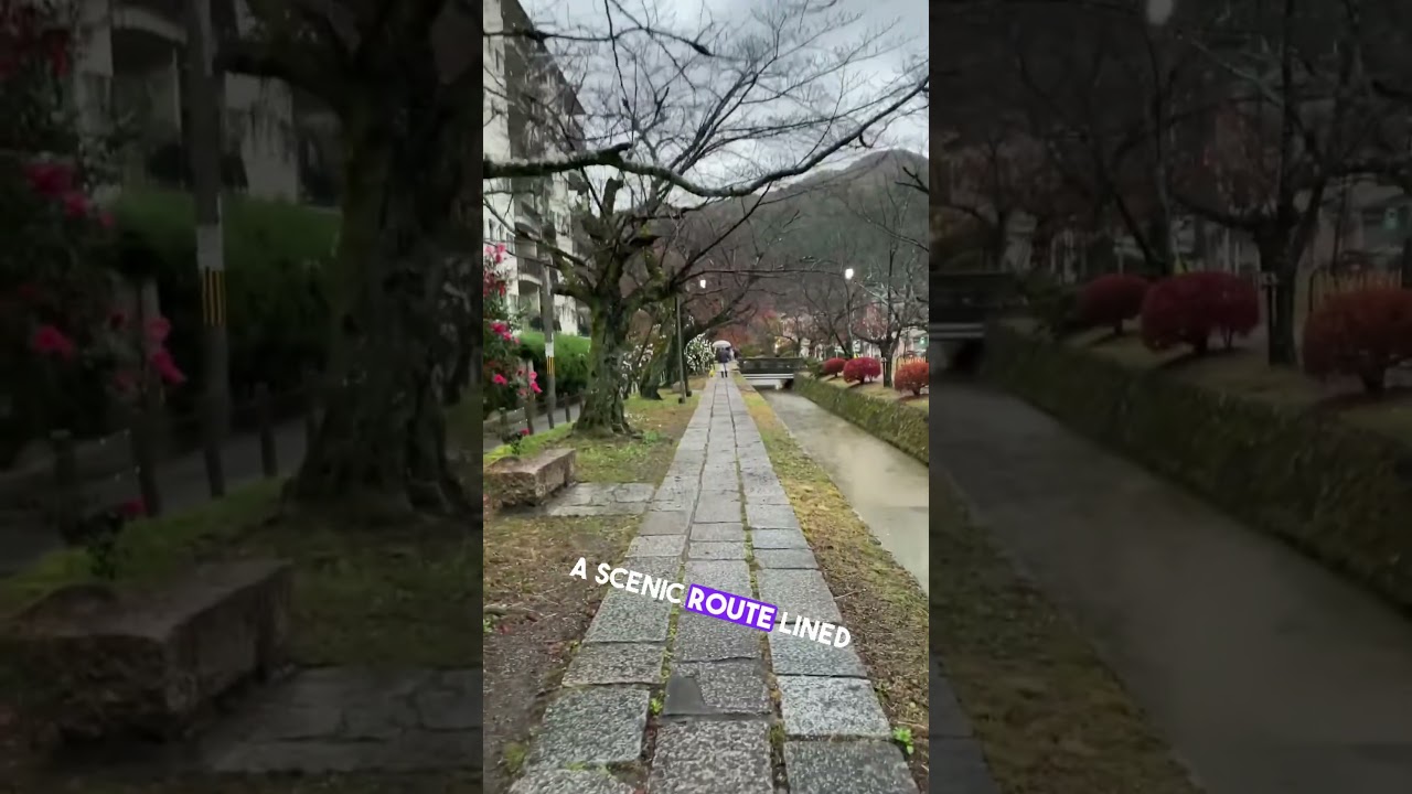 Philosopher&rsquo;s Path 🌸✨ | Kyoto&rsquo;s Most Peaceful Walk!