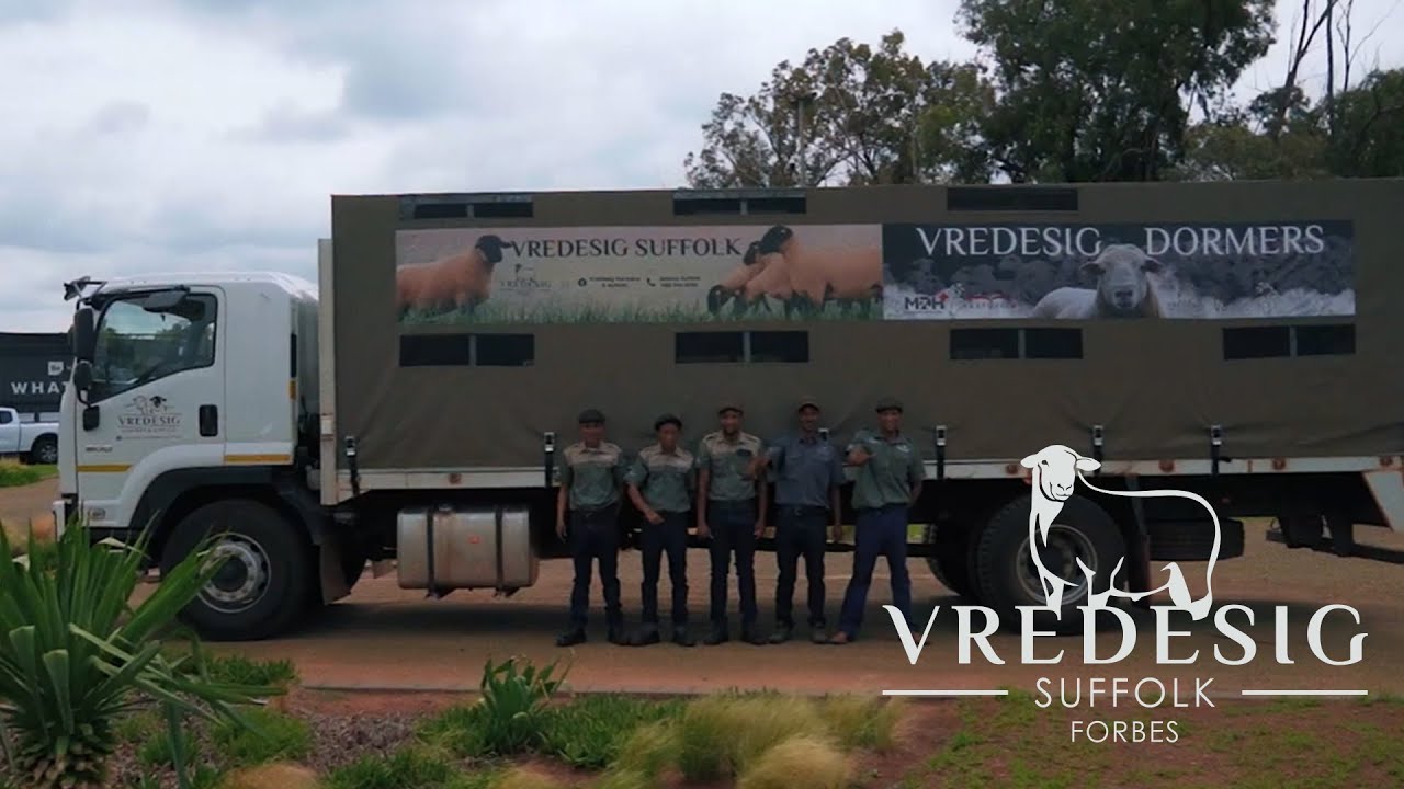 Vredesig & Vriende Veiling | Be Human