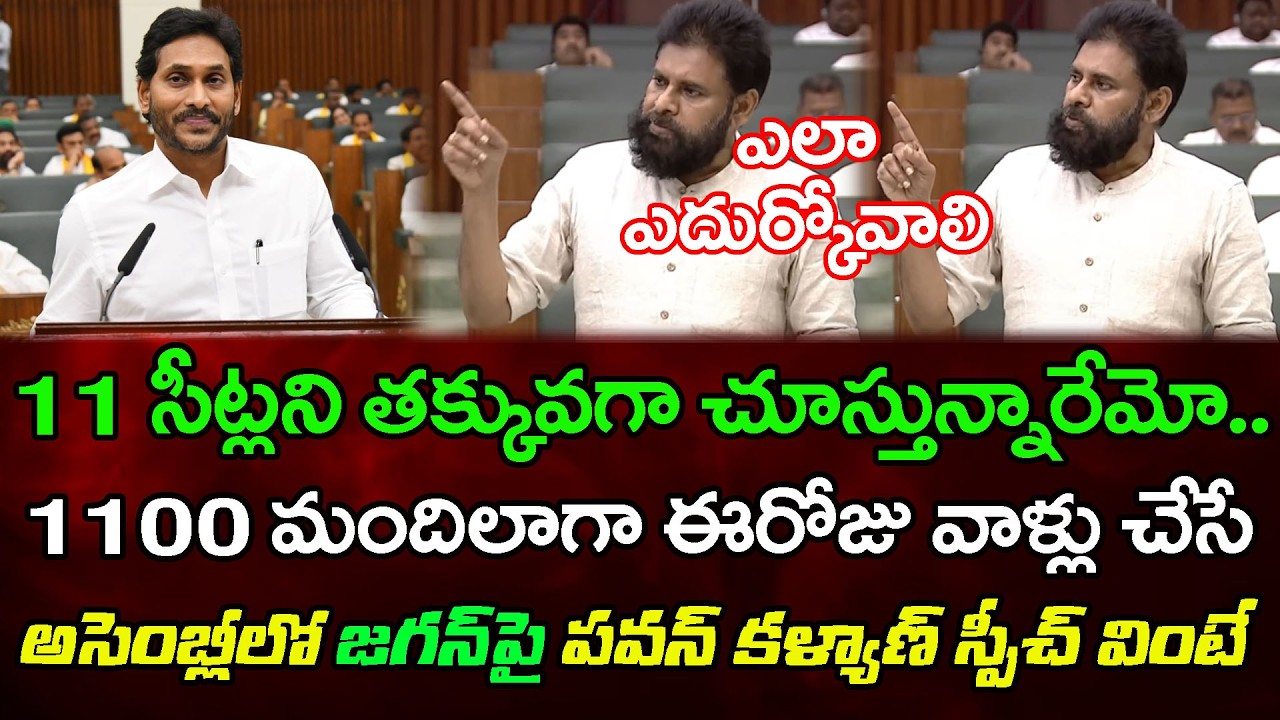 వైసీపీని ఎదుర్కోలేక పోతున్నాం | Pawan Kalyan Great Words On YS Jagan : PDTV News