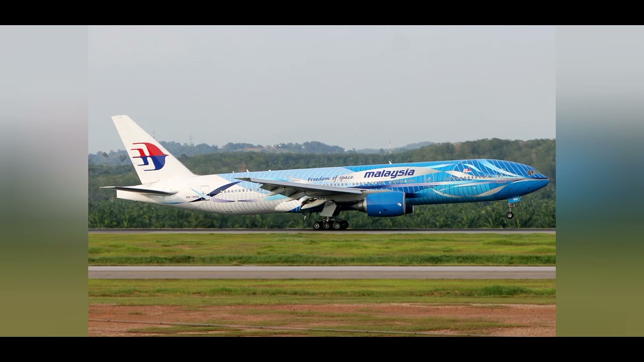 mh17 🥺#mh17 #prayformh17