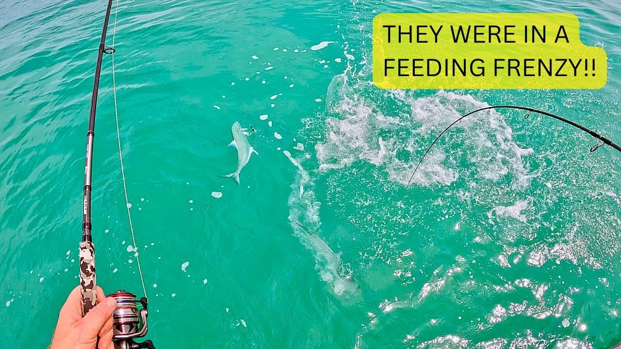 HOW TO CATCH QUEENFISH ON EVERY CAST
