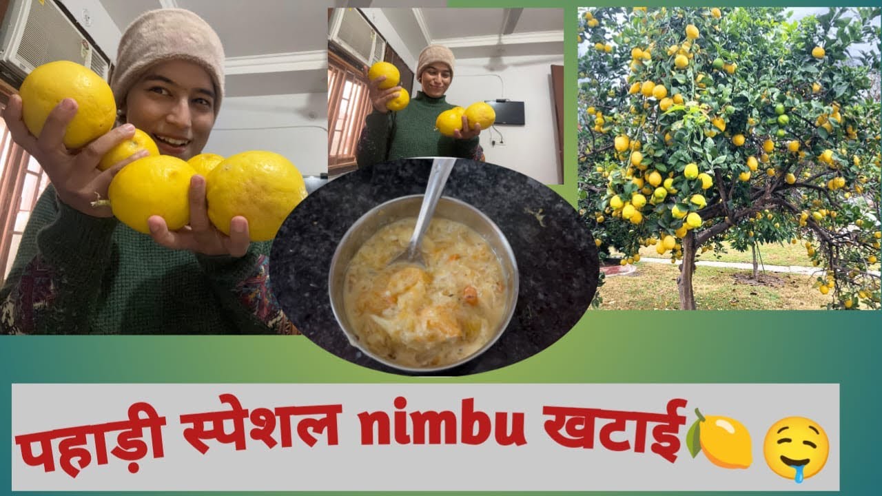 पहाड़ी स्पेशल nimbu खटाई | pahadi nimbu chaat recipe | vlog 3