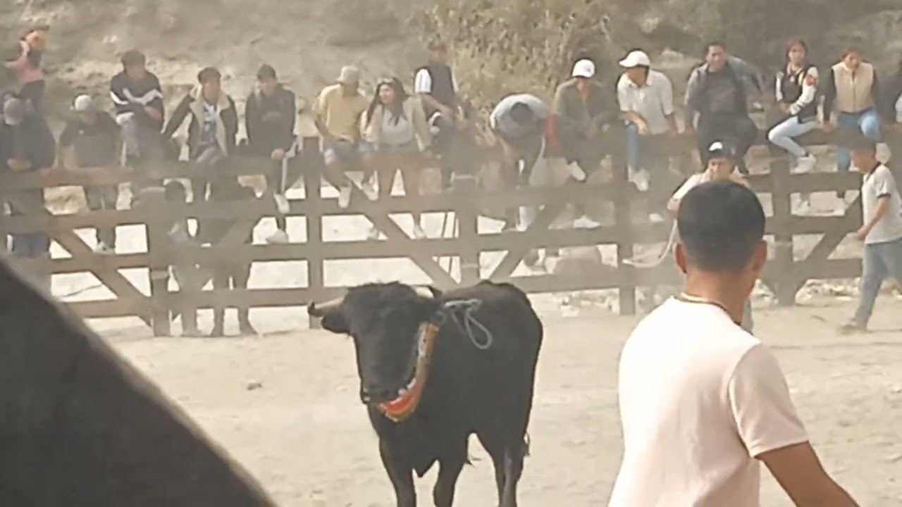 Toros y la Banda Fiesta Latina en Calicanto - Picaihua 2026