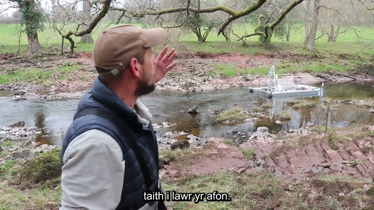 Salmon smolt tracking along the river Usk (Welsh)